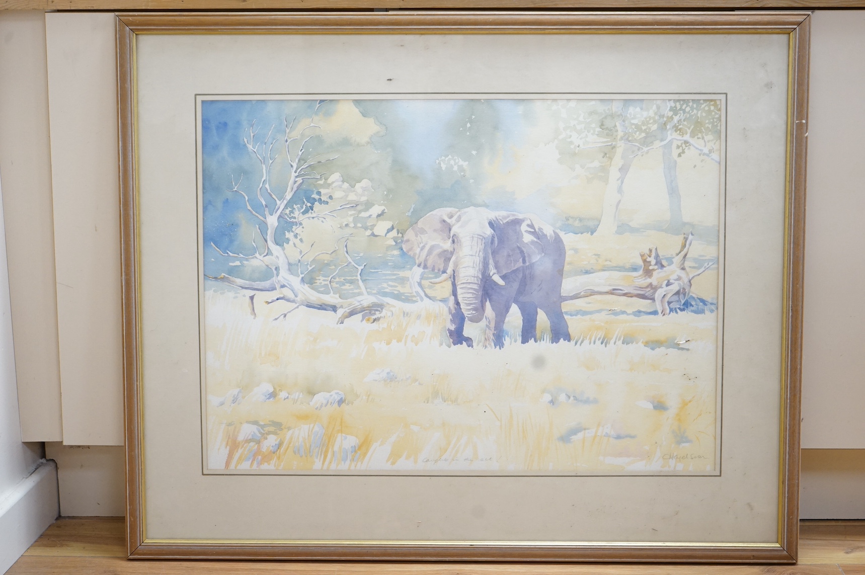 Hazel Soan (b.1954), watercolour, Study of an elephant, 'Caught in the act!', signed and inscribed, 54 x 75cm. Condition - colours appear muted